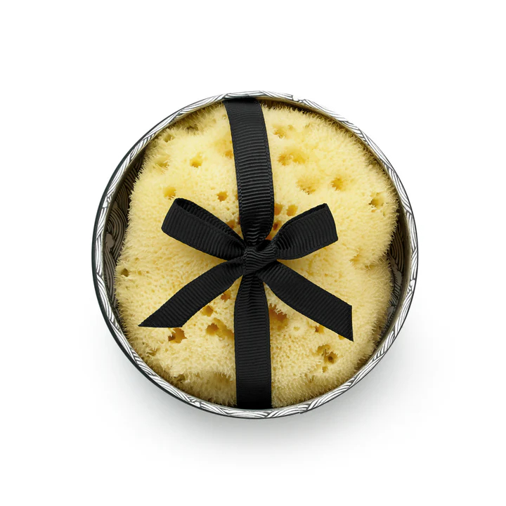 ARgENTUM la lune sur l'eau - Fina Silk Sea Sponge