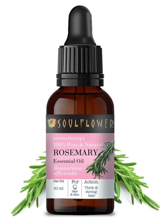 Rosemary Essential Oil For Clarity & Focus 